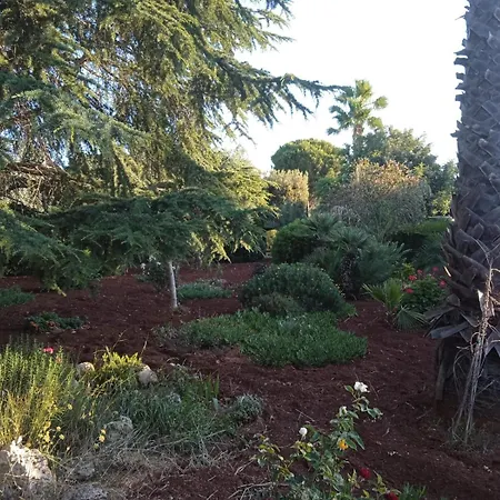 Bed & Breakfast Le Carrube