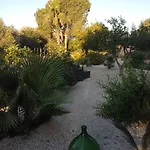 Le Carrube