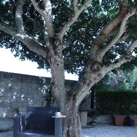 Le Carrube Frühstückspension Sava