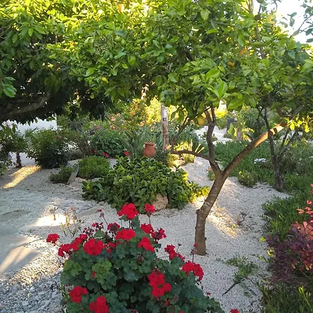 Frühstückspension Le Carrube Sava