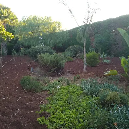 Frühstückspension Le Carrube Sava