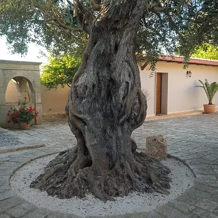 Le Carrube Frühstückspension Sava