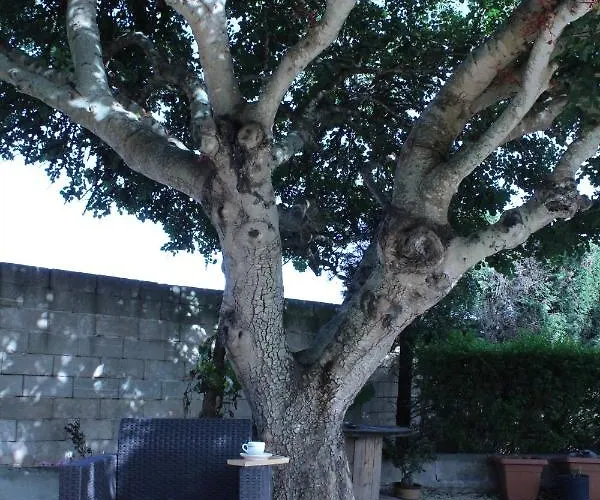 Le Carrube Bed & Breakfast Sava